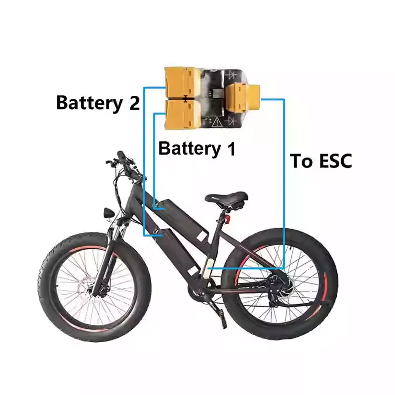 Dual-Battery Parallel Module 5V/12V/24V/36V/48V/60V